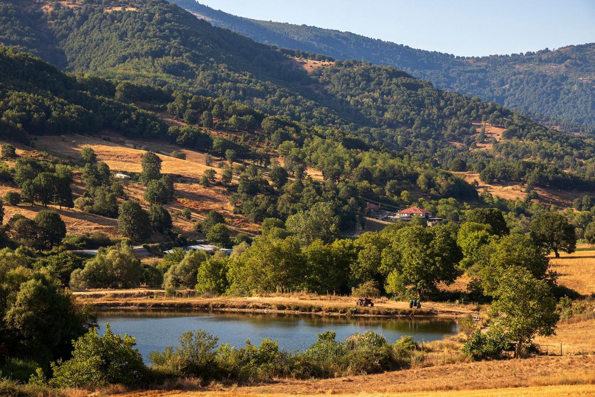 Ktima Bellou Agios Dimitrios  Экстерьер фото